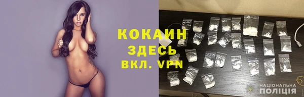 прущие грибы Алексин