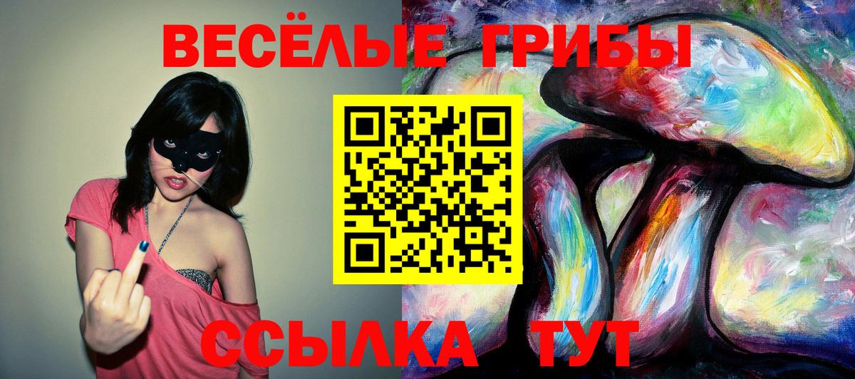 Чебоксары  Псилоцибиновые грибы Magic Shrooms  Вход с VPN 